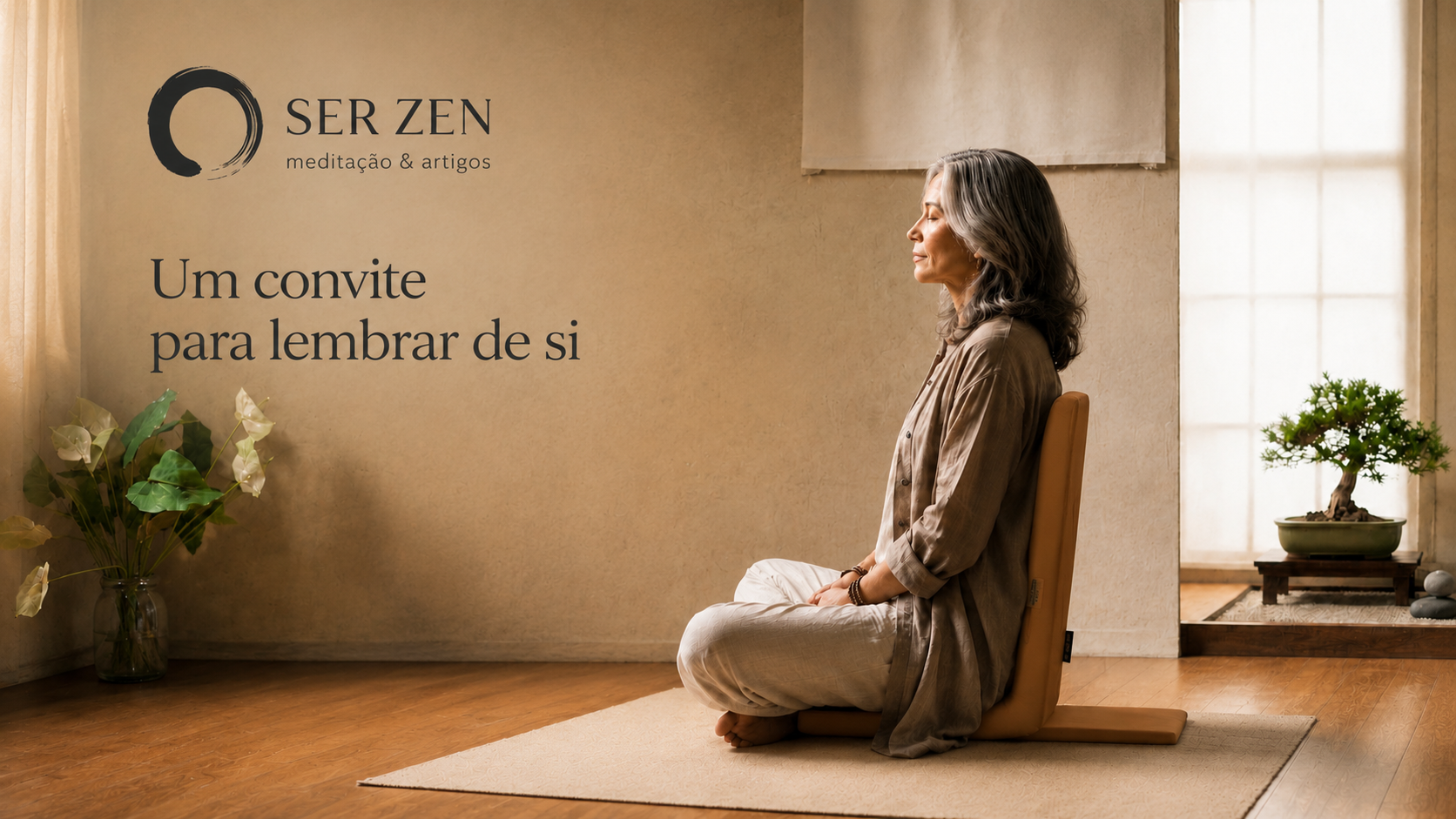 banner do site ser zen